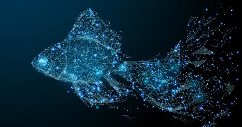 Hidrolizirani kolagen, kolagenski peptidi, prekurzor kolagena, kolagen - Gaia Naturelle