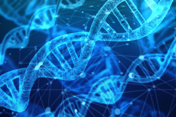 NAD+ – Vse, kar morate vedeti o koencimu dolgoživosti - Gaia Naturelle