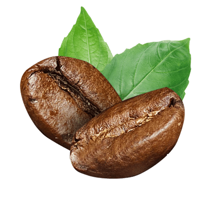 kofein