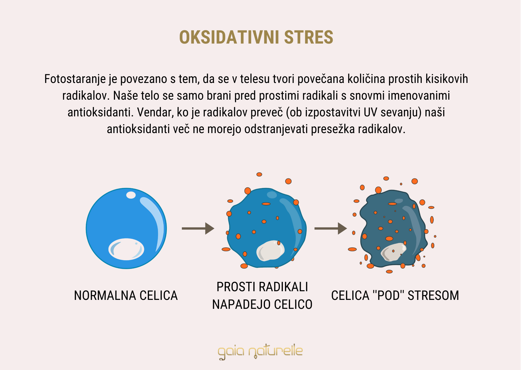 koencim Q10 - oksidativni stres