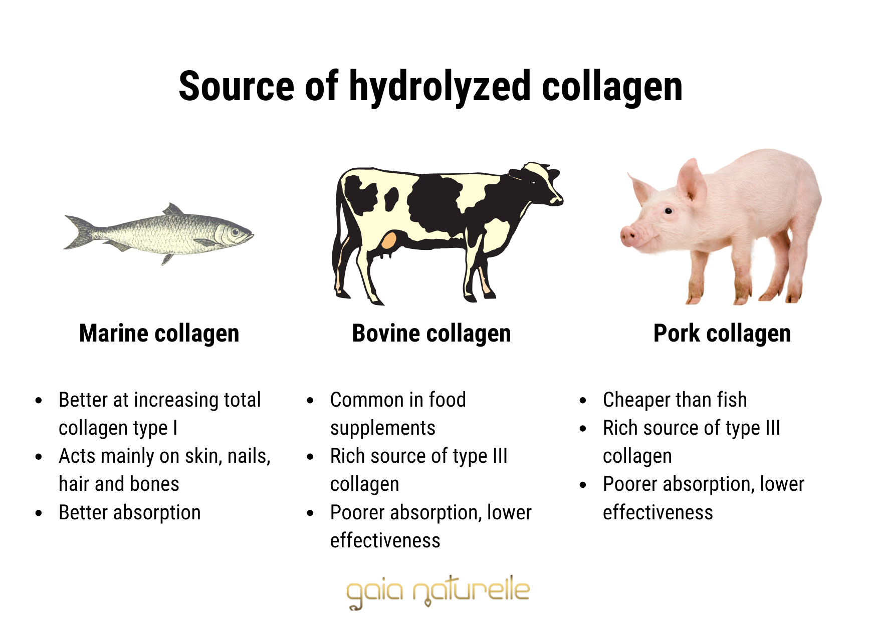 Source of hydrolyzed collagen